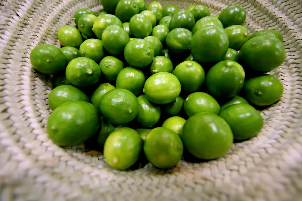 أبوظبي للزراعة والسلامة الغذائية تنظم محاضرات توعوية افتراضية في مهرجان ليوا للرطب