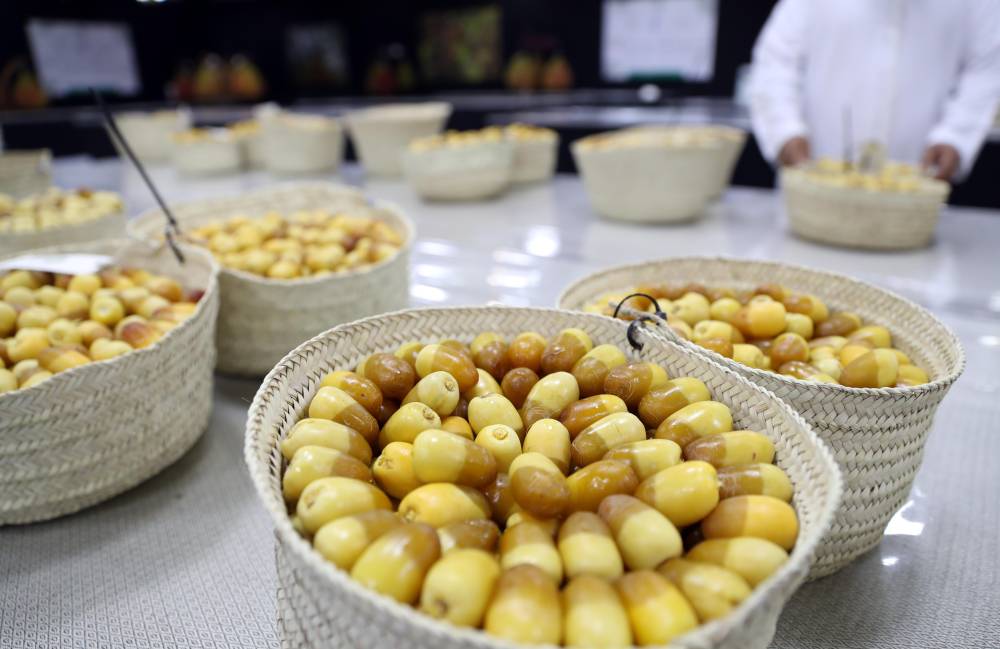 منافسات قوية تشهدها مسابقات رطب الخلاص والفرض في مهرجان ليوا للرطب