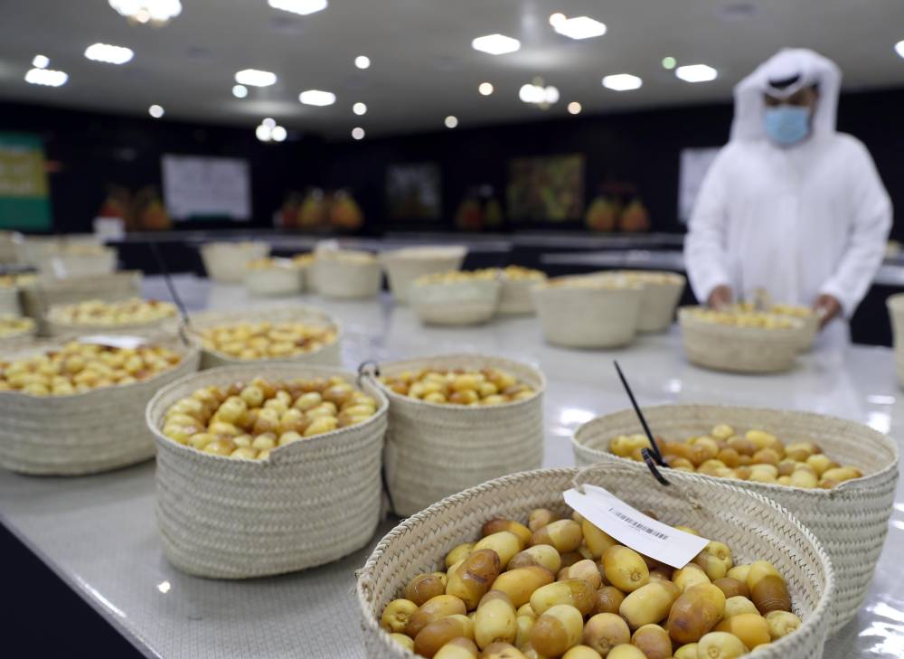 منافسات قوية تشهدها مسابقات رطب الخلاص والفرض في مهرجان ليوا للرطب