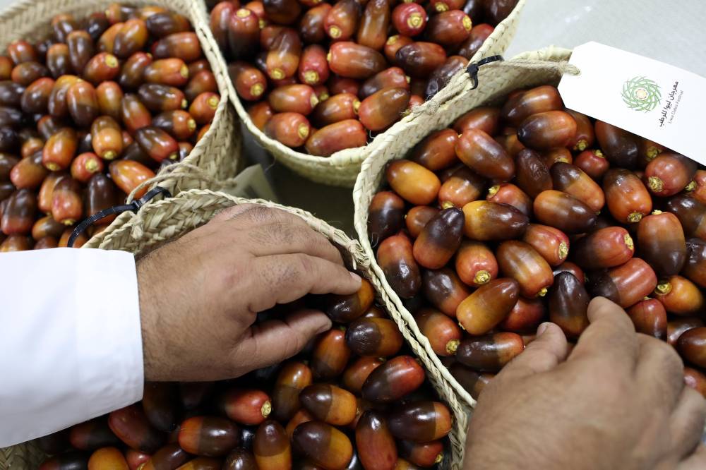 منافسات قوية تشهدها مسابقات رطب الخلاص والفرض في مهرجان ليوا للرطب