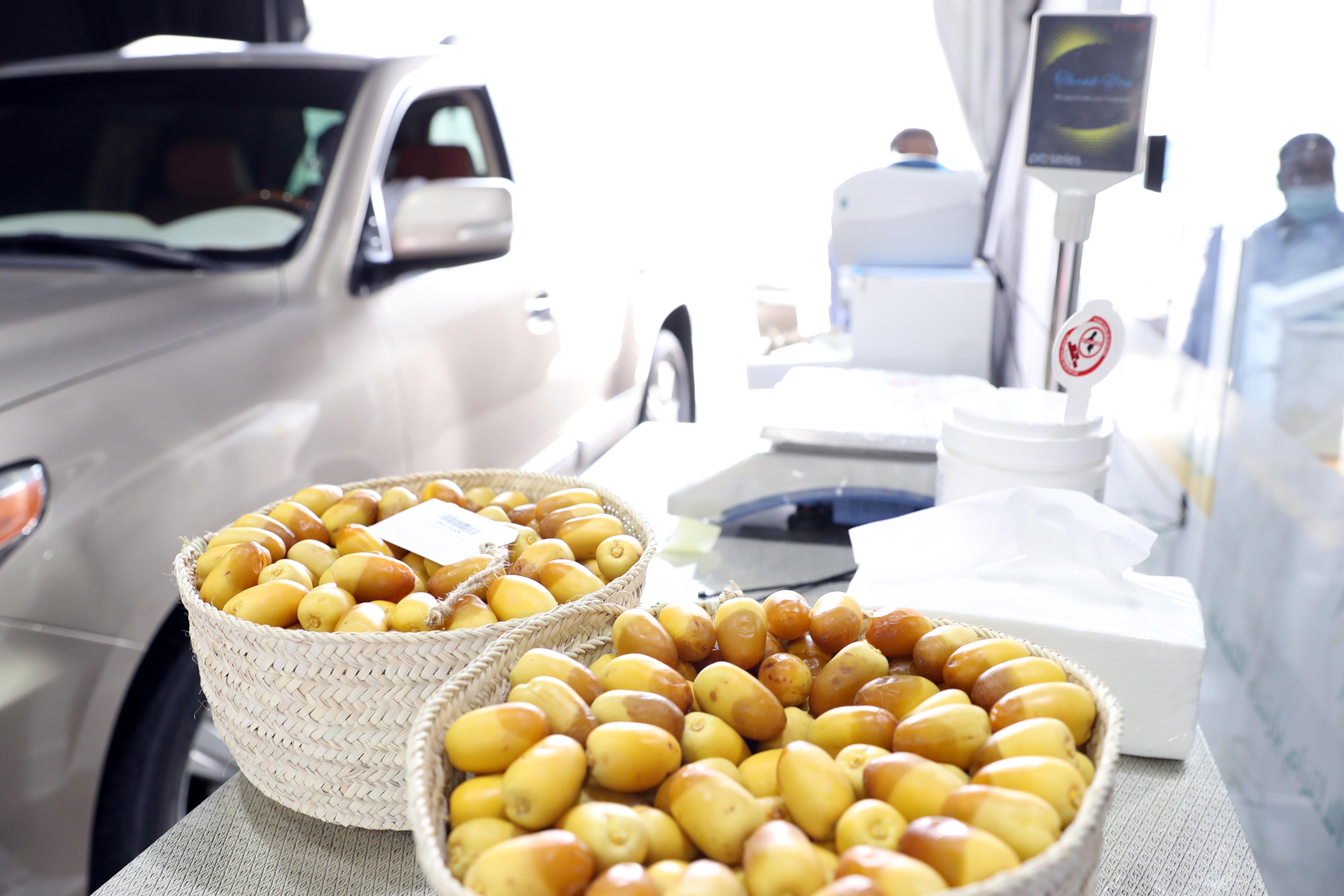 منافسات قوية تشهدها مسابقات رطب الخلاص والفرض في مهرجان ليوا للرطب