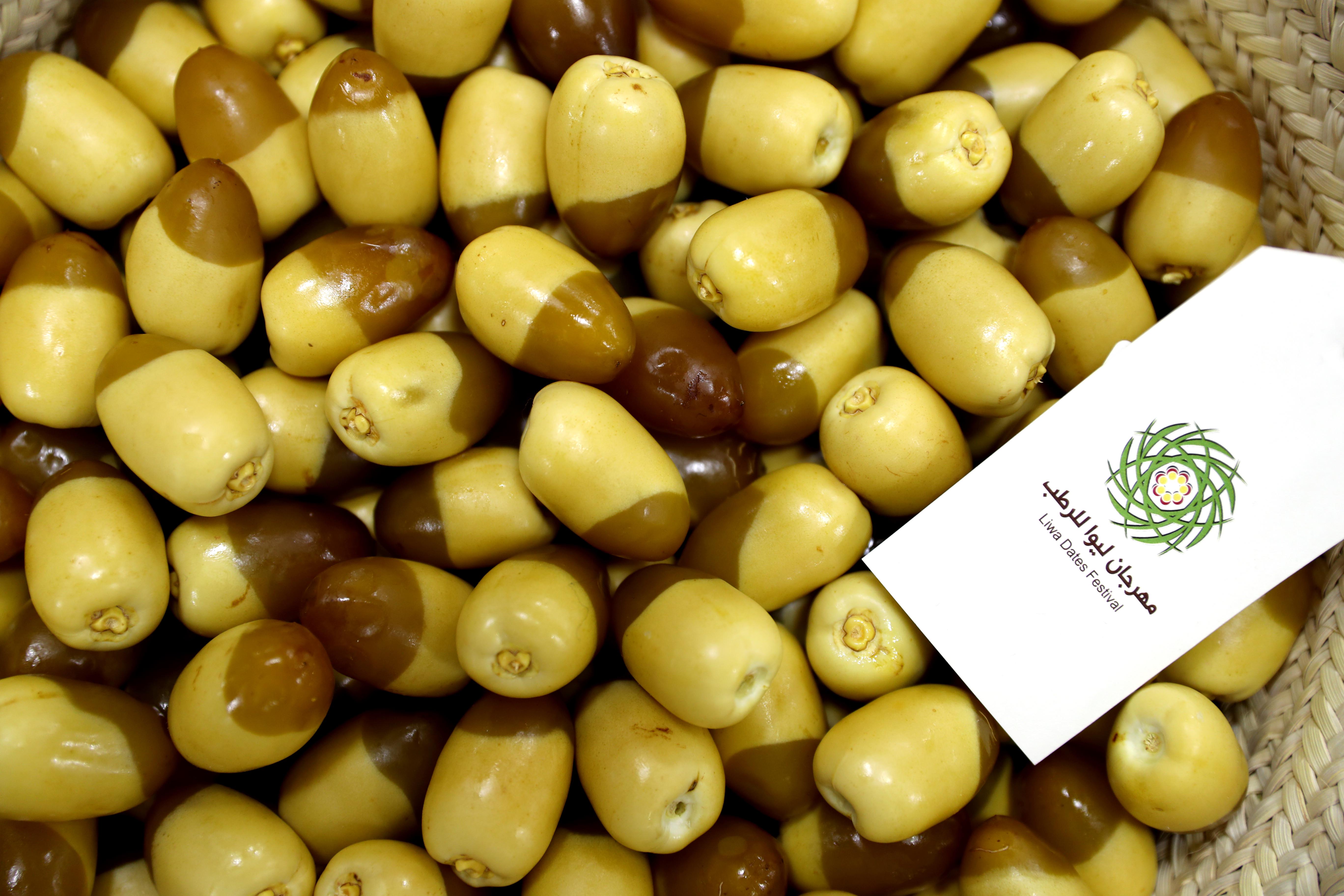 منافسات قوية تشهدها مسابقات رطب الخلاص والفرض في مهرجان ليوا للرطب