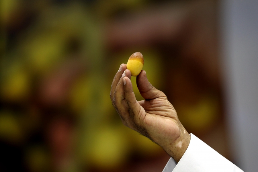 اللي ما يزرع الدبّاس ما ياخذ بنات الناس