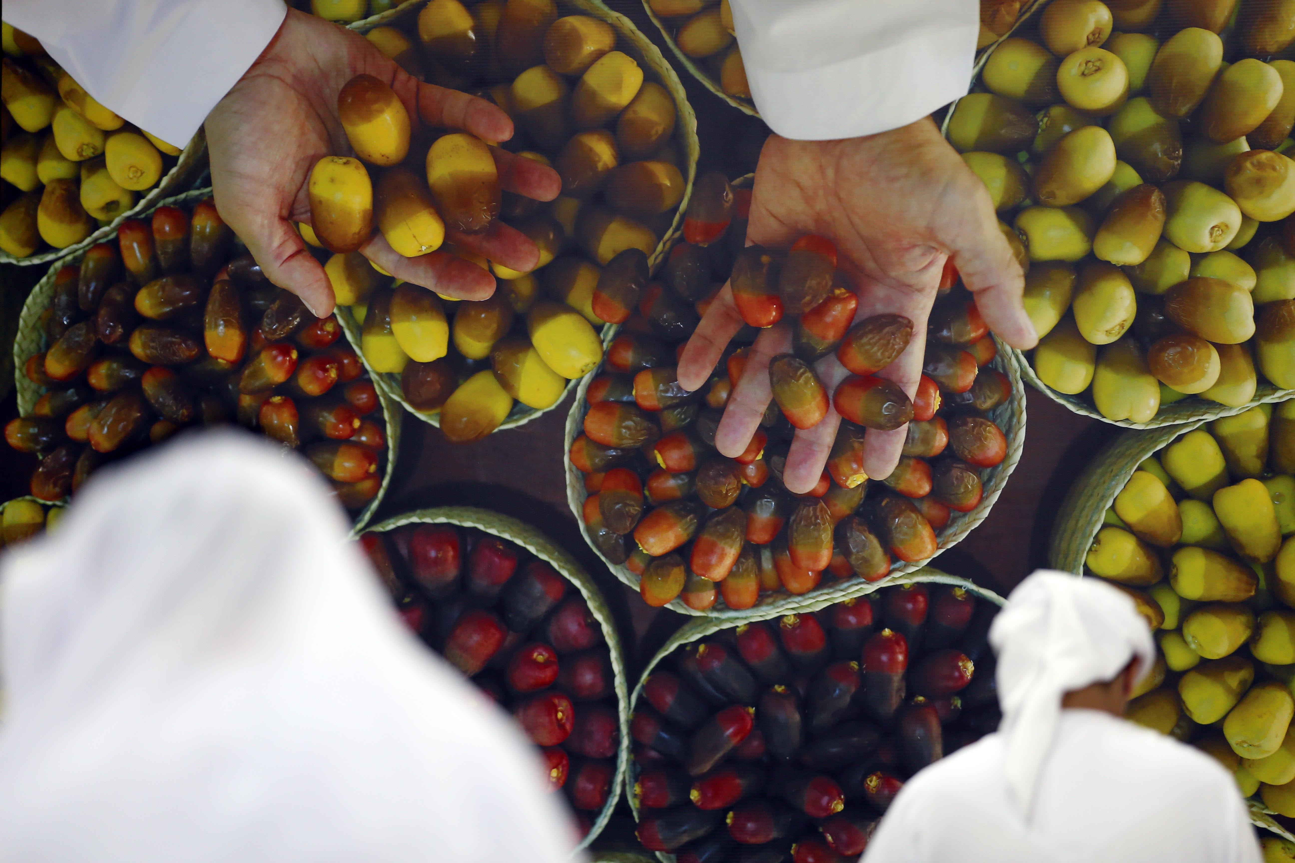 مدير عام بلدية الظفرة.. حريصون على تقديم الدعم اللازم لإنجاح مهرجان ليوا للرطب