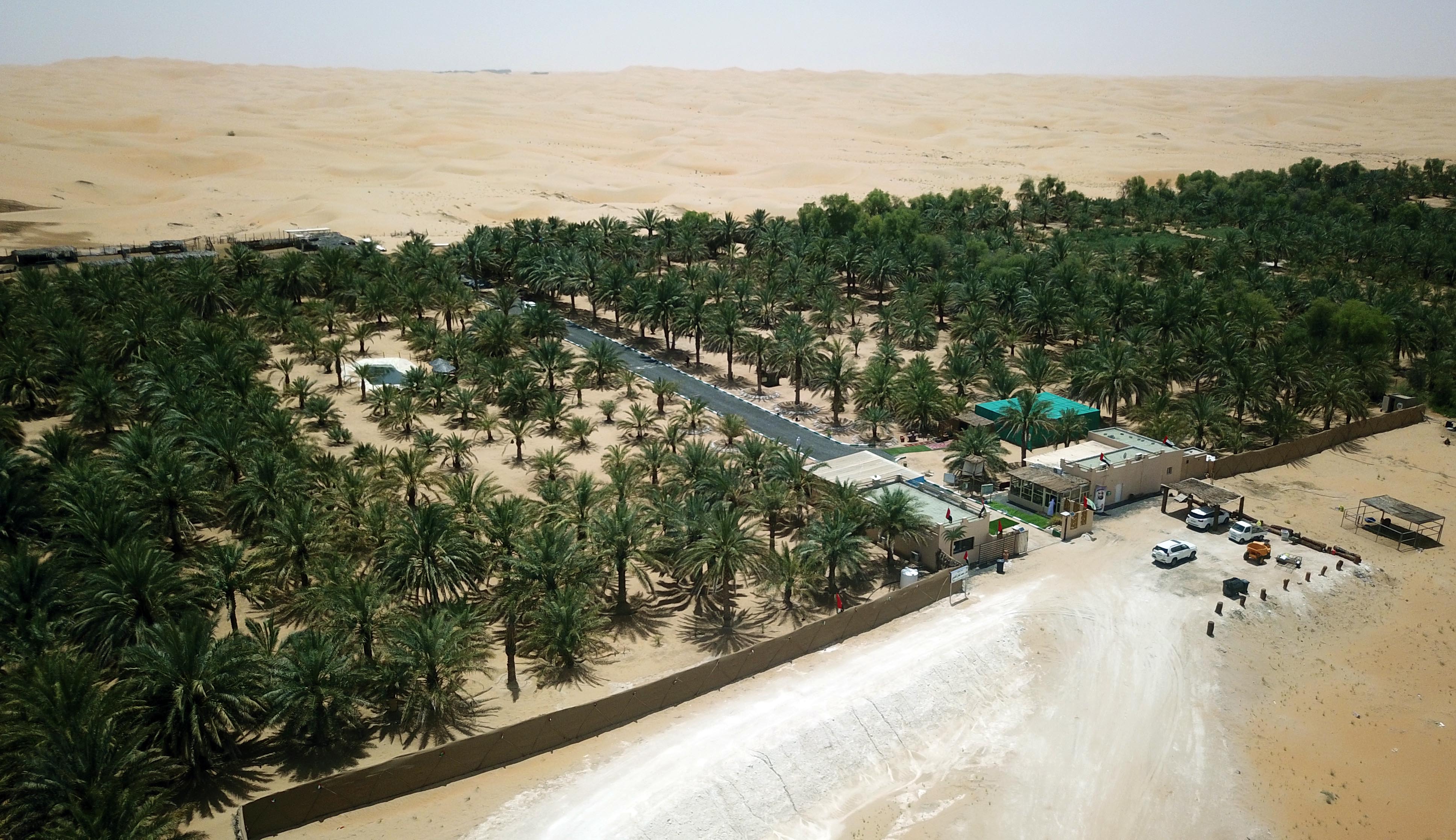 مدير عام بلدية الظفرة.. حريصون على تقديم الدعم اللازم لإنجاح مهرجان ليوا للرطب