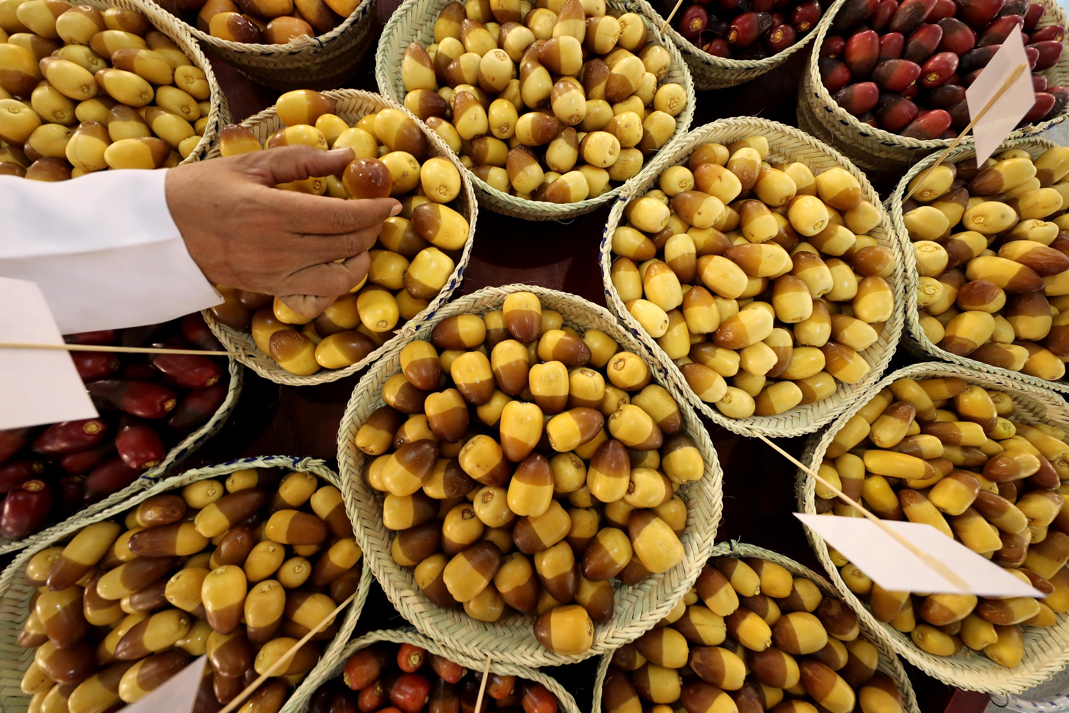 اللي ما يزرع الدبّاس ما ياخذ بنات الناس