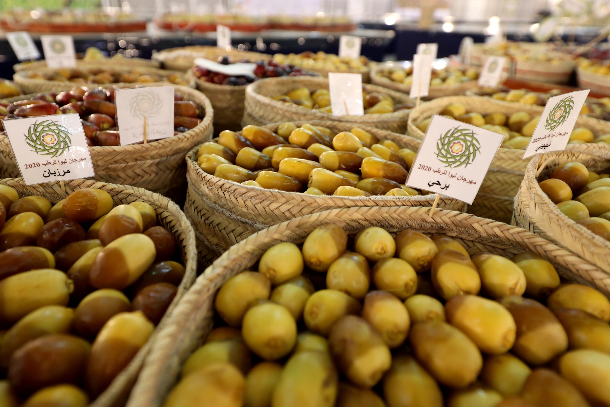 اللي ما يزرع الدبّاس ما ياخذ بنات الناس