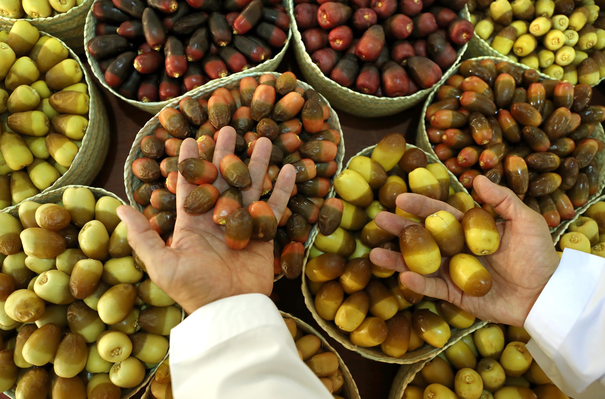 اللي ما يزرع الدبّاس ما ياخذ بنات الناس