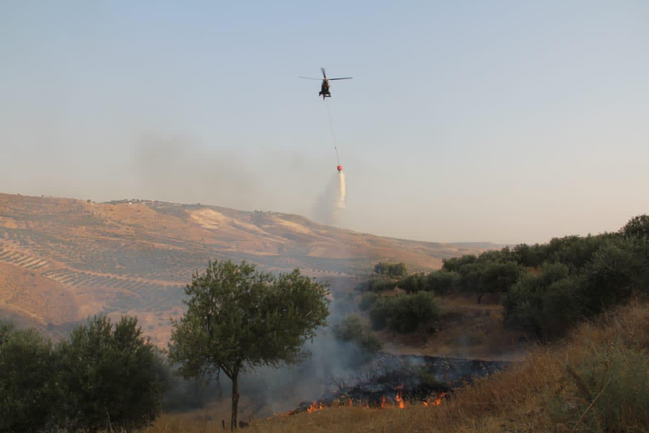 الدفاع المدني يخمد حريقاً لأعشاب جافة وأشجار حرجية وقصيب في محافظة إربد 