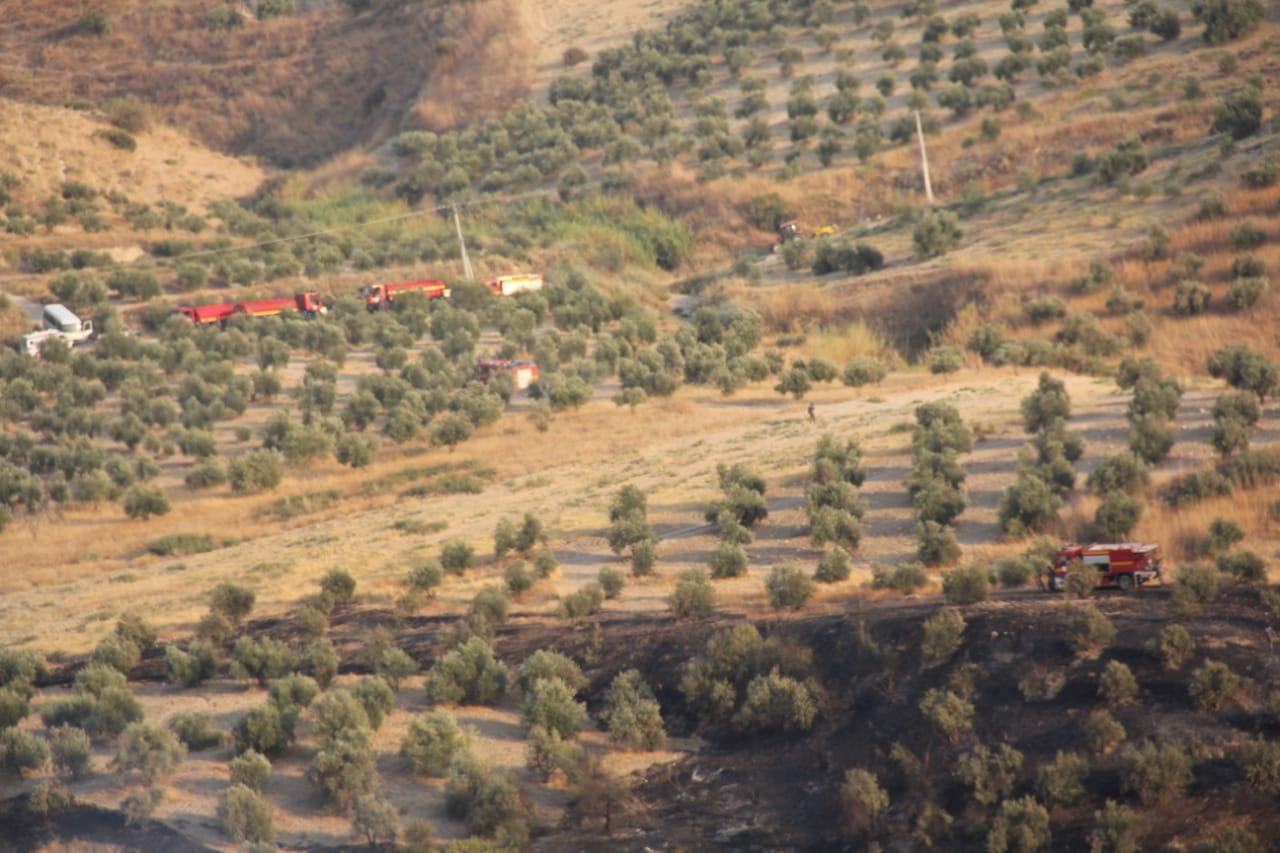 الدفاع المدني يخمد حريقاً لأعشاب جافة وأشجار حرجية وقصيب في محافظة إربد 