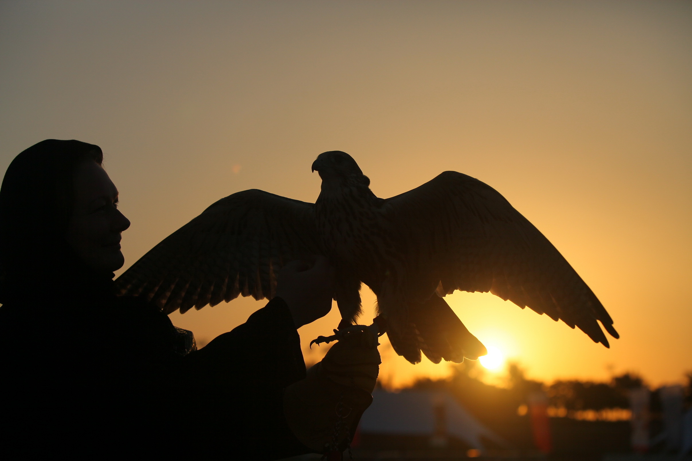 معرض أبوظبي الدولي للصيد يستضيف مؤتمراً علمياً حول مُستقبل رياضة الصيد بالصقور   