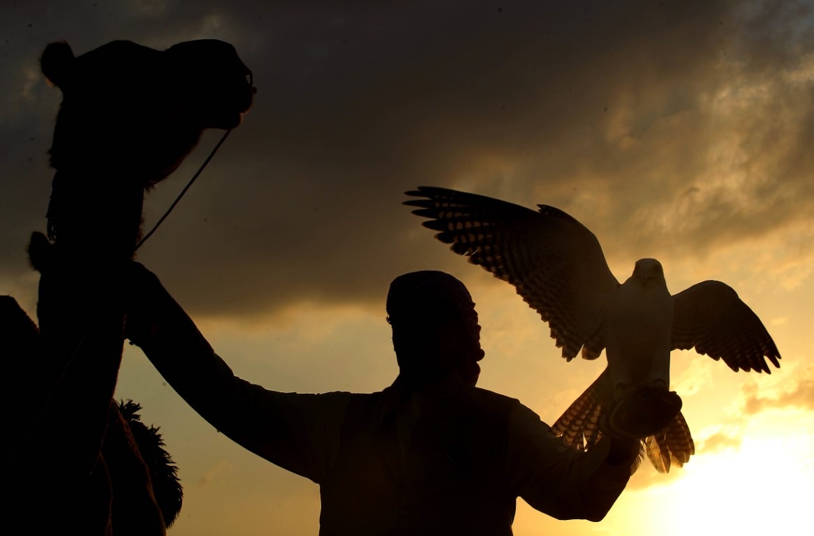 معرض أبوظبي الدولي للصيد يستضيف مؤتمراً علمياً حول مُستقبل رياضة الصيد بالصقور   