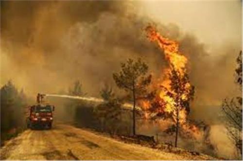 الأخوة البرلمانية مع المغرب العربي تعزي بشهداء حرائق الجزائر