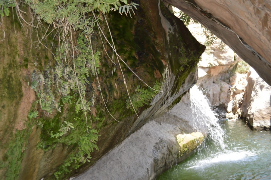 هيئة تنشيط السياحة تنظم جولة للإعلاميين للإطلاع على أبرز المواقع السياحية في ذيبان