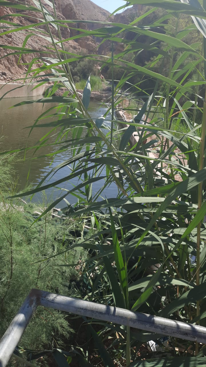 المياه :حملة لازالة اعتداءات في منطقة وادي ابو خشيبة في وادي الاردن