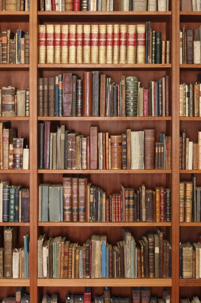 حضور أوروبي واسع في معرض أبوظبي الدولي للصيد والفروسية