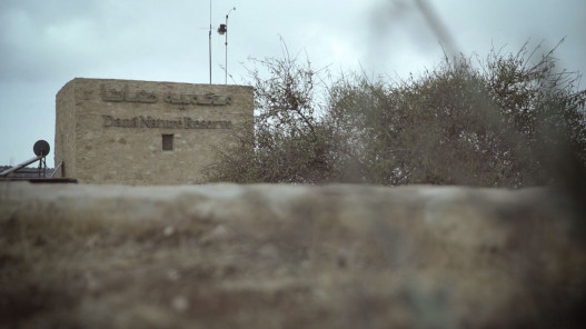 الحكومة: توافق على الابتعاد عن مناطق تنوع بيئي وحيوي عند اقتطاع جزء من ضانا