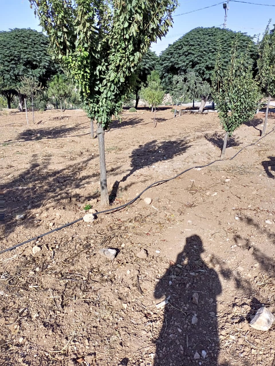 المياه :ضبط اعتداءات جديدة كبيرة على خطوط رئيسية في الكرك ومعان والزرقاء