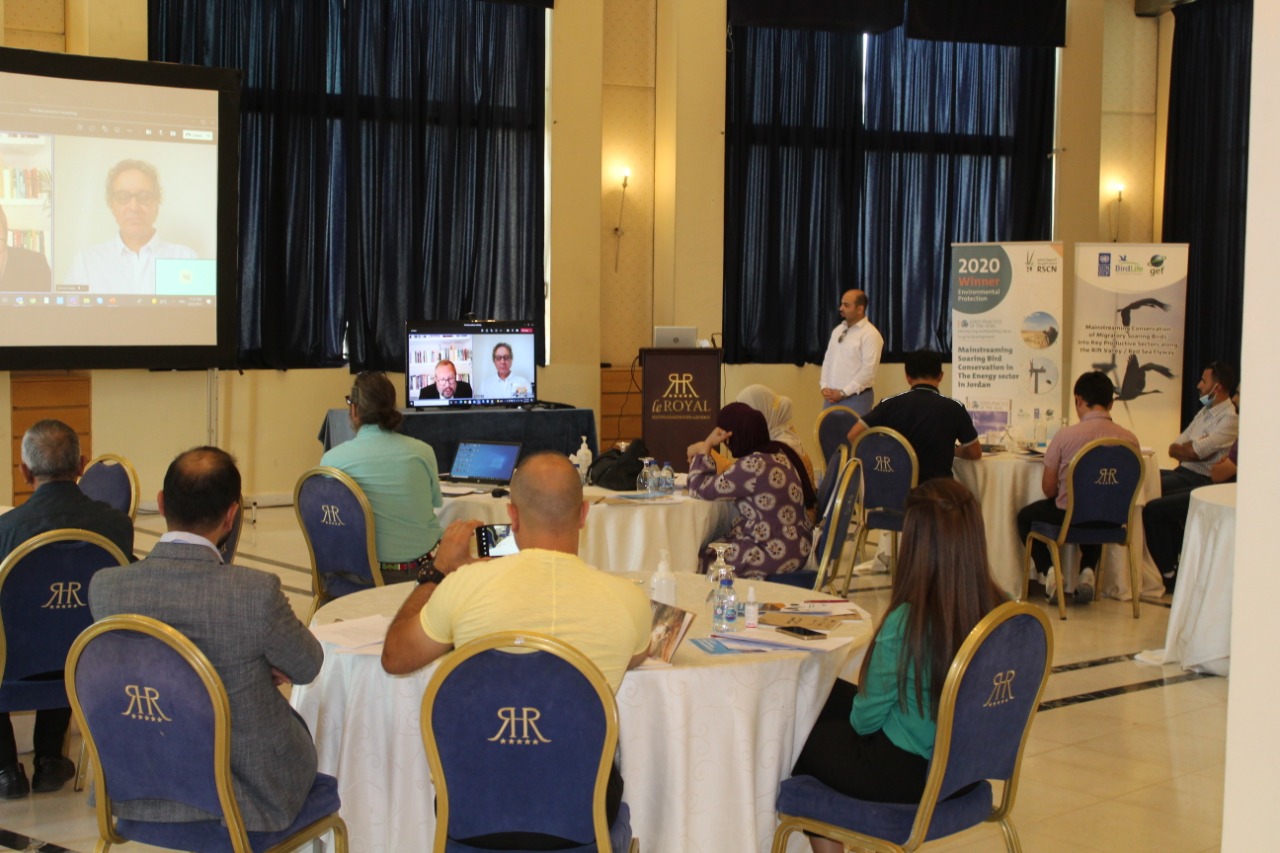فعالية حول الممارسات العالمية المثلى في حماية الطيور بمحطات طاقة الرياح