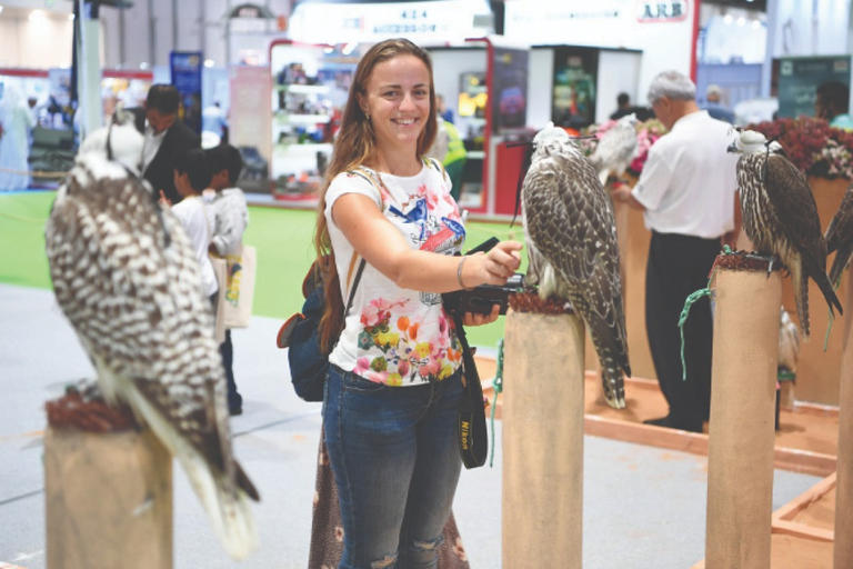 معرض أبوظبي للصيد يُسلّط الضوء على دور النساء في الصقار _صور