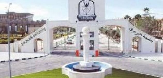 يسرى أبوعنيز تكتب : اليرموك .. مبادرة تستحق التقدير