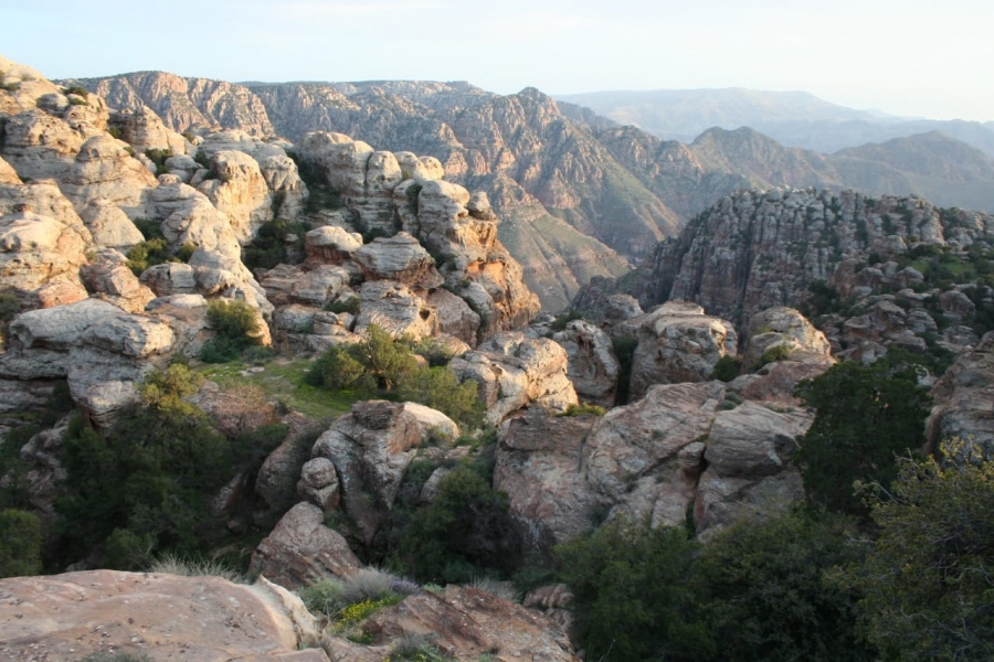 خبراء: تعدين النحاس في ضانا سيتسبب في تلوث المياه والتربة، وبالتالي التأثير على كل ما يعيش في المنطقة