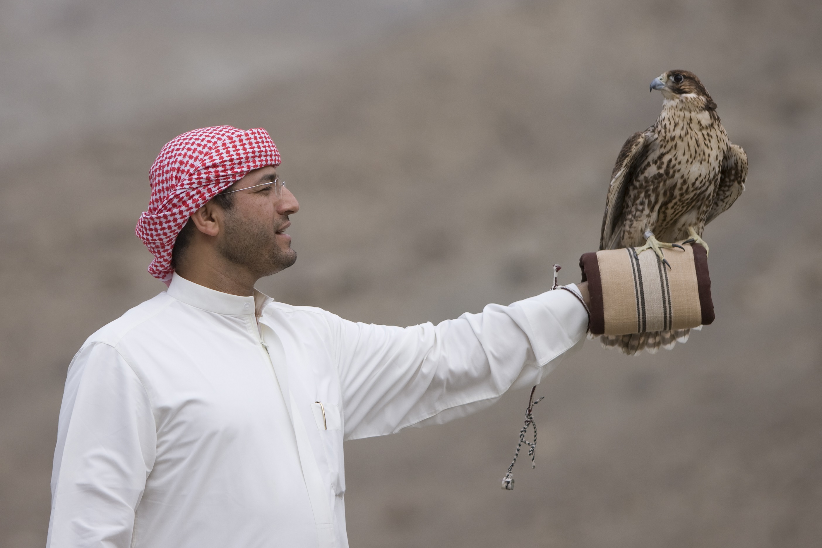 الشيخ زايد، الصقّار الأول ورائد حُماة البيئة في العالم صور