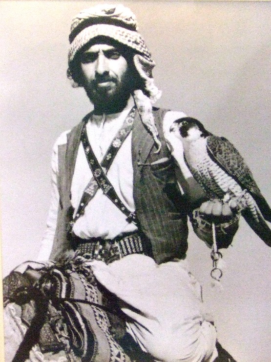 الشيخ زايد، الصقّار الأول ورائد حُماة البيئة في العالم صور