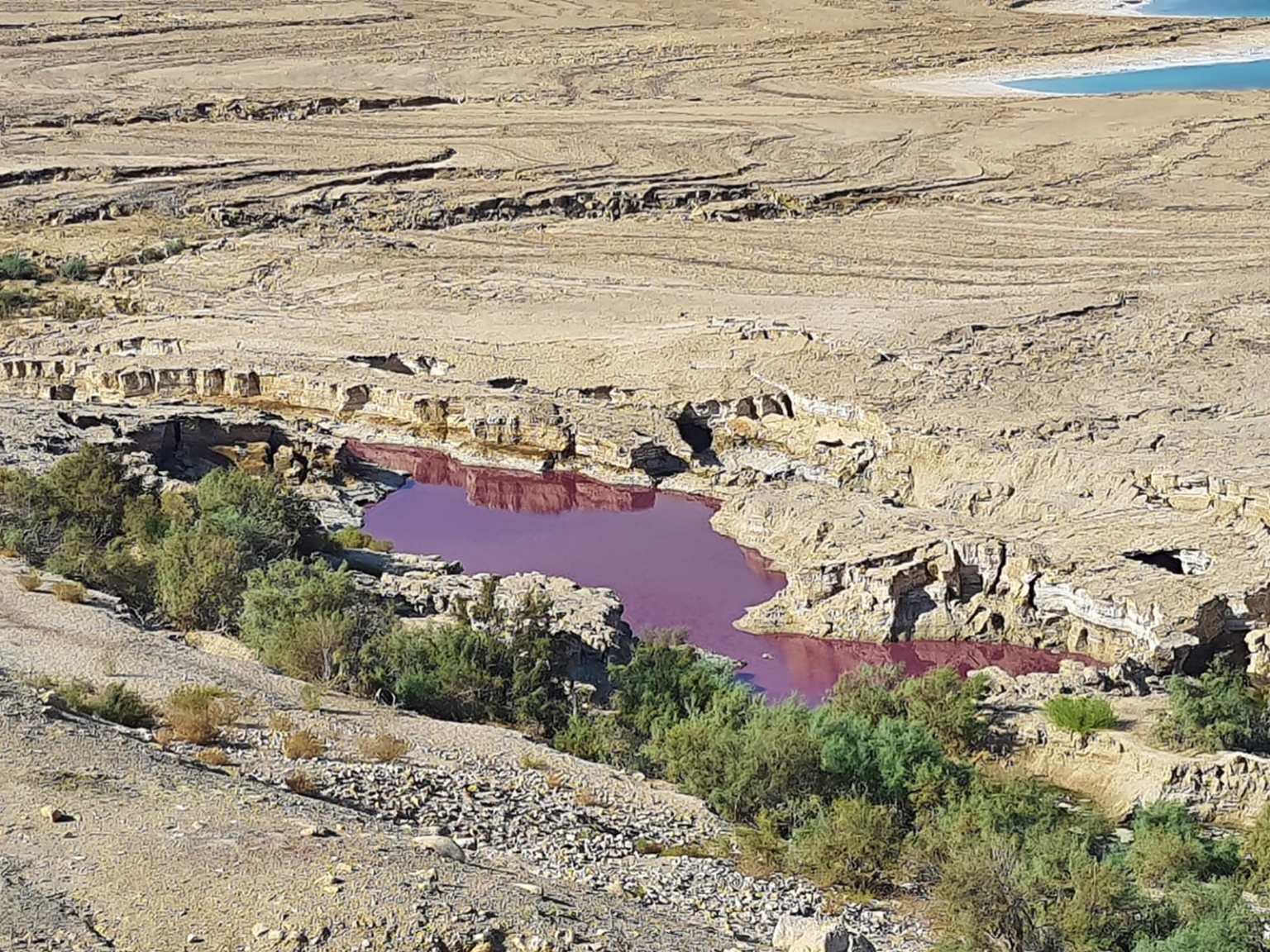 مياه حمراء غريبة بمحيط البحر الميت .. ووزارة المياه والري تتحقق .. فيديو 