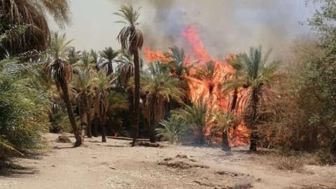 سلسلة حرائق بالسودان تقضي على أكثر من 2000 شجرة نخيل