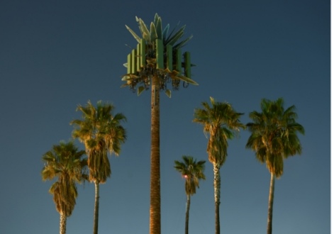 الشارقة 9 للفنون تعلن عن الفائزین بجوائز معرض الشارقة وجھة نظر