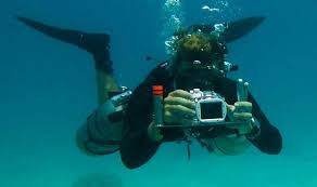 العقبة: اعلان نتائج بطولة التصوير تحت الماء