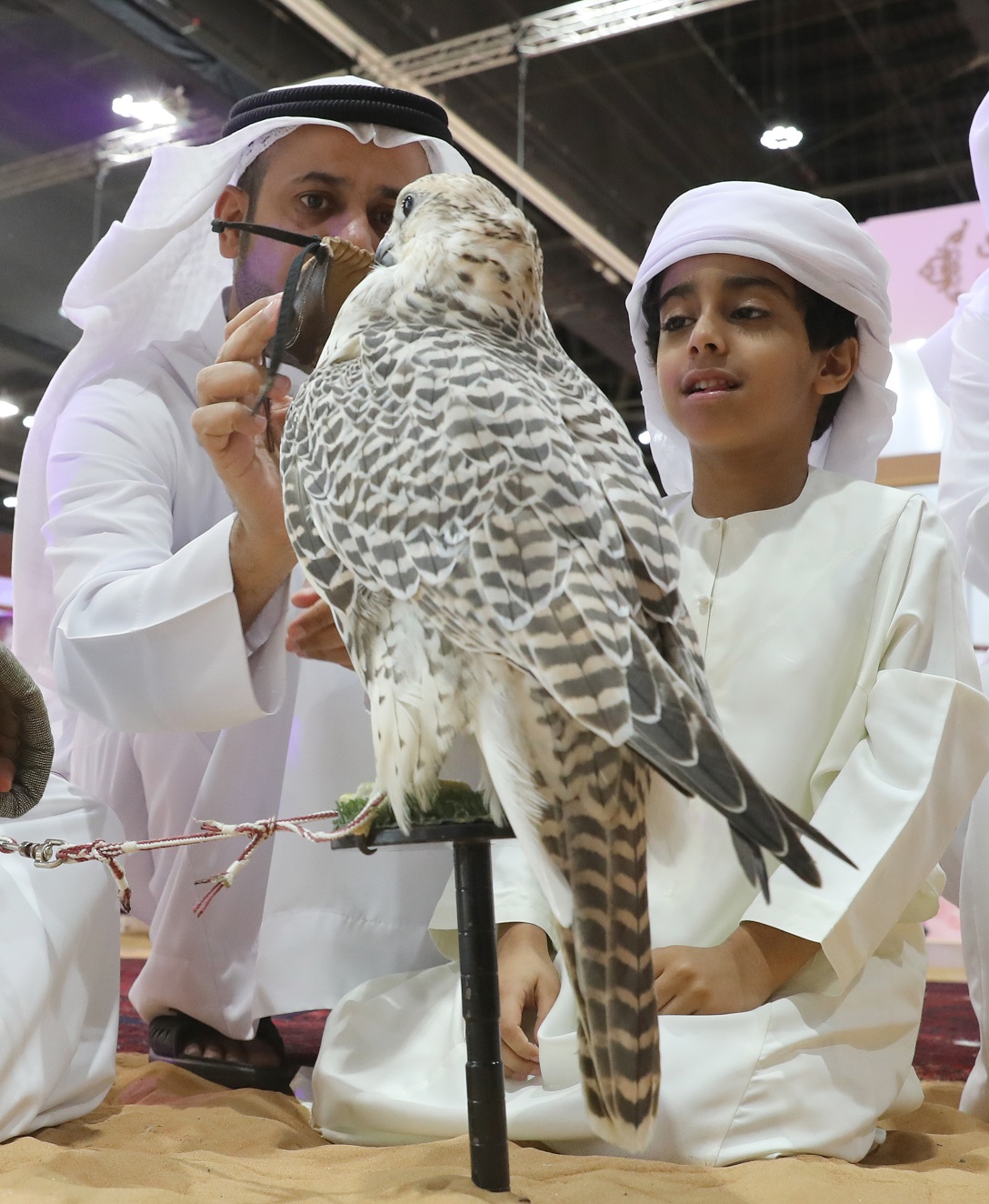  نادي صقاري الإمارات يحتفي بعامه العشرين في معرض أبوظبي الدولي للصيد