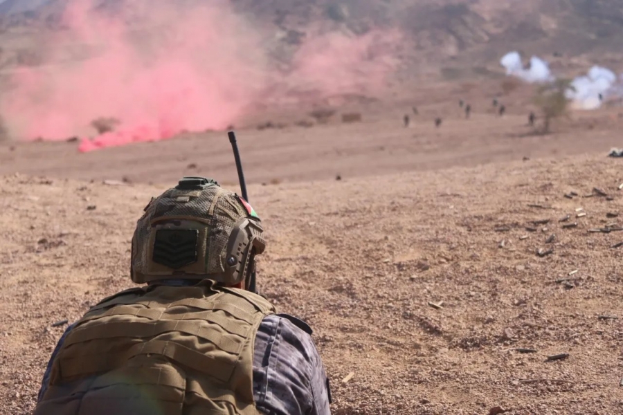 القوات المسلحة : القبض على متسلل حاول تهريب كمية من المخدرات للأردن .. تفاصيل