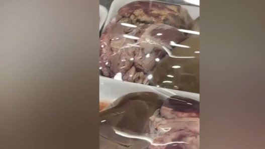 653 مخالفة تتعلق بالغذاء تم تحويلها للمدعي العام منذ بداية العام الحالي