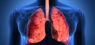 بوهرنجر إنجلهايم تسخر خبرتها الممتدة على مدار 100 عام لتعزيز الوعي  بأمراض الجهاز التنفسي