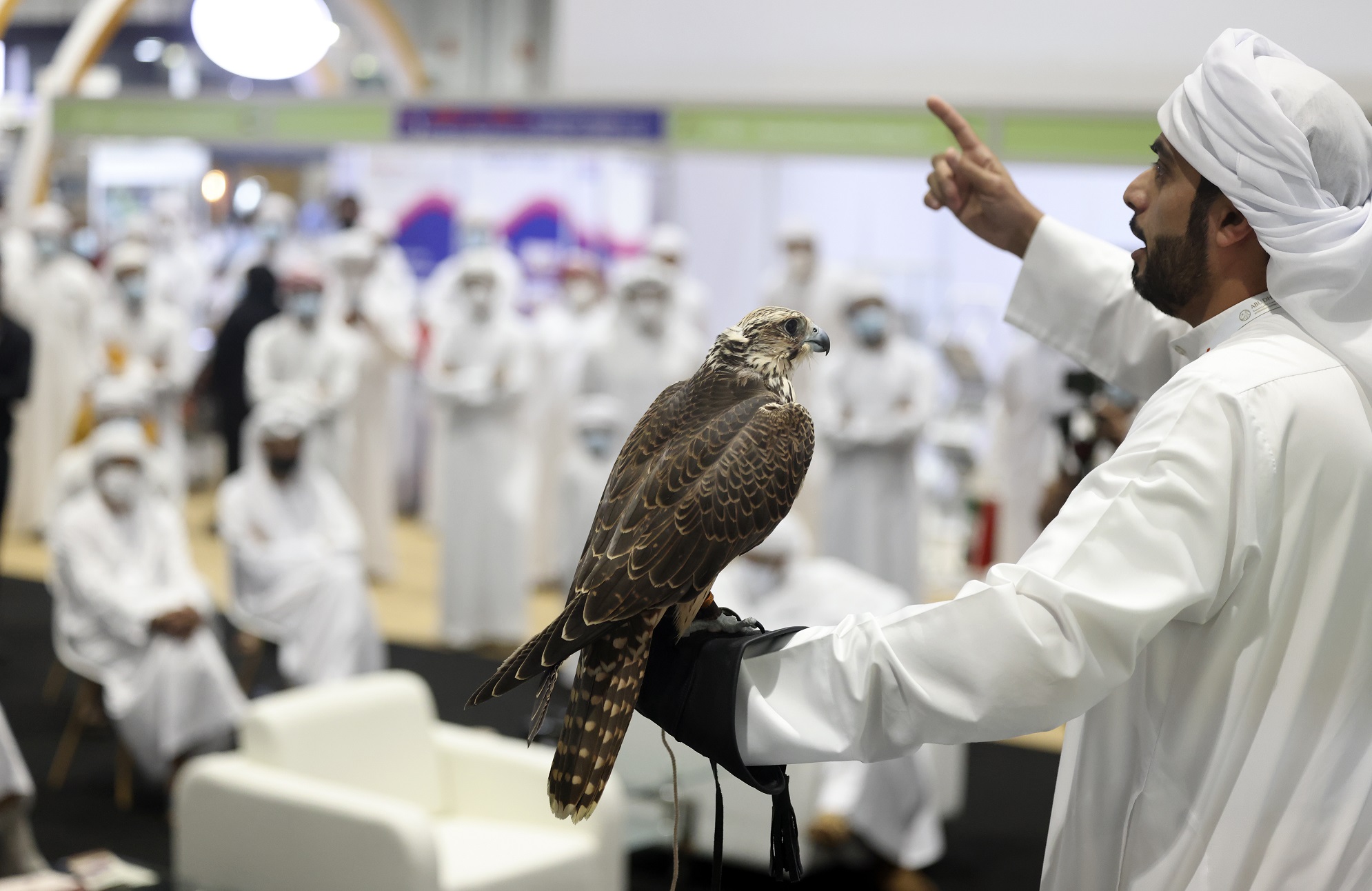 زوار أبوظبي الدولي للصيد والفروسية : أجواء المعرض أعادتنا للحياة الطبيعية مع الشعور بالأمان والثقة 