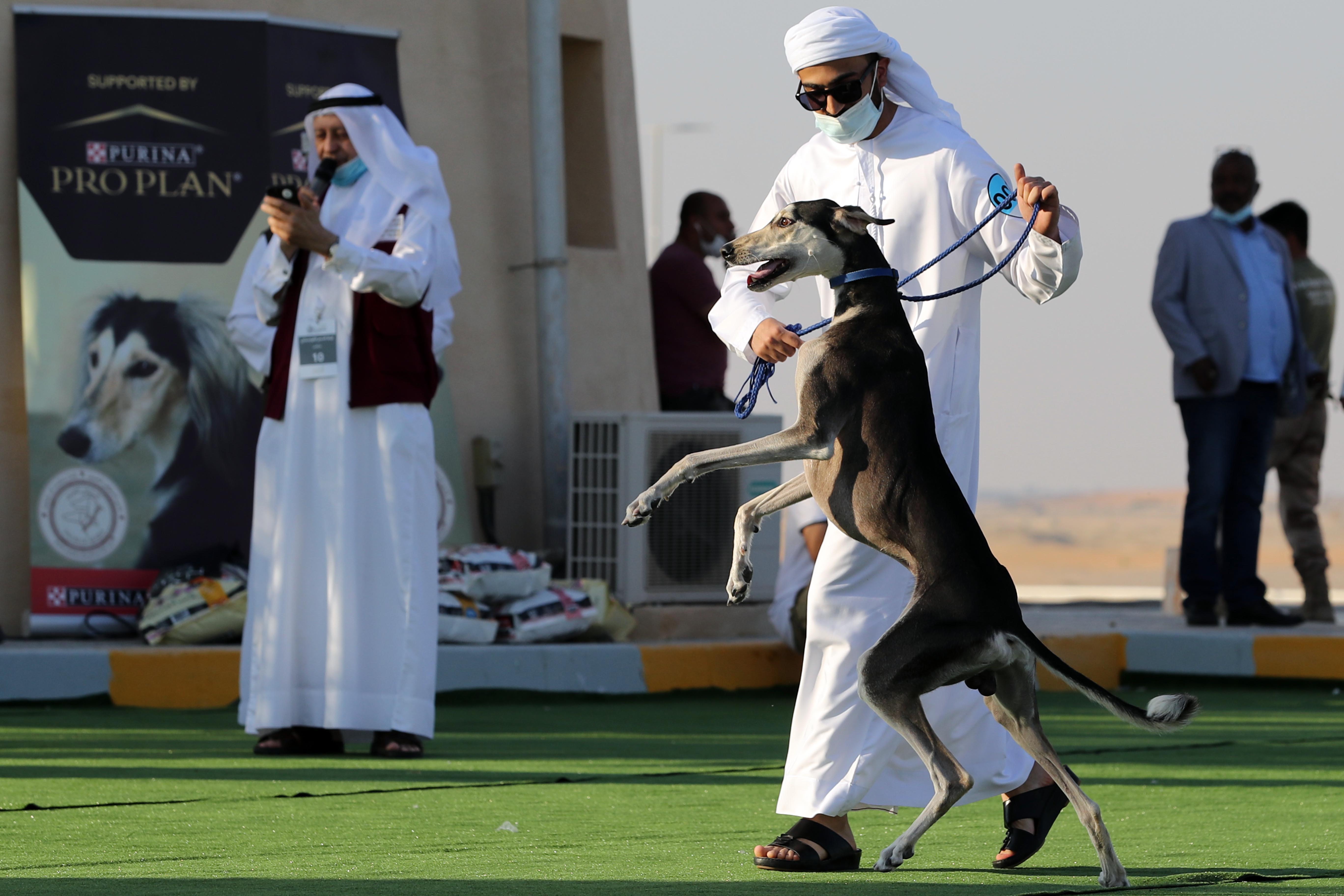 مهرجان الظفرة يستعرض مسابقاته التراثية للدورة 15 