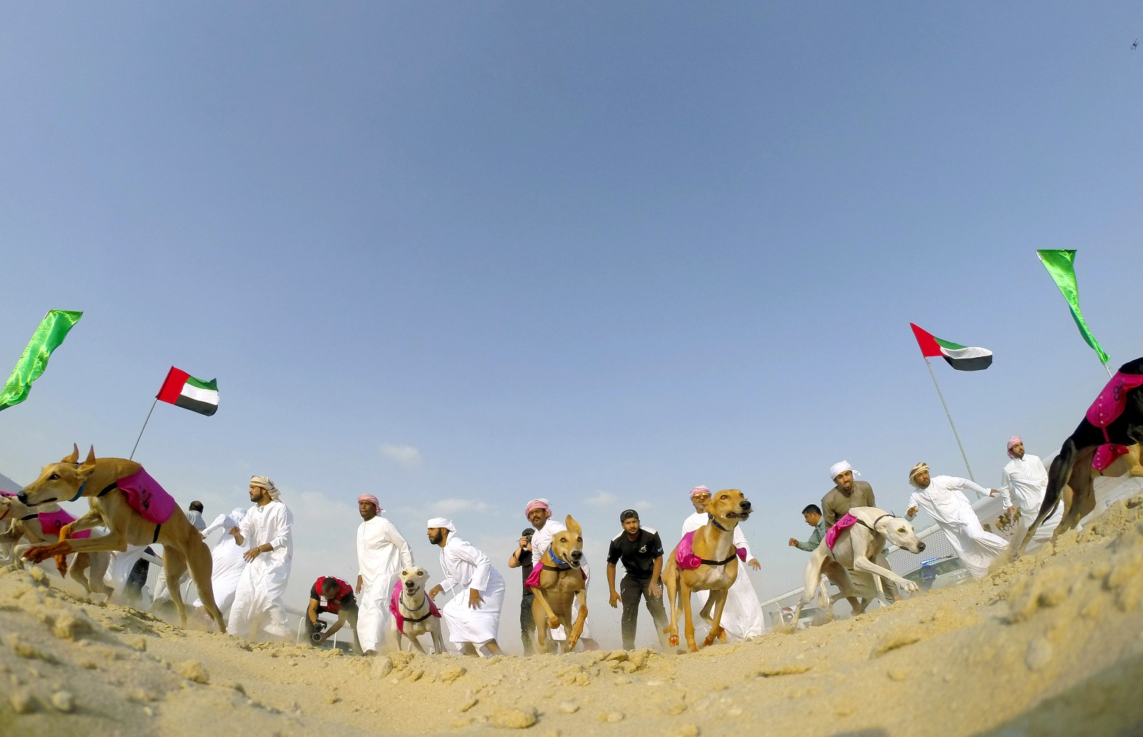 مهرجان الظفرة يستعرض مسابقاته التراثية للدورة 15 