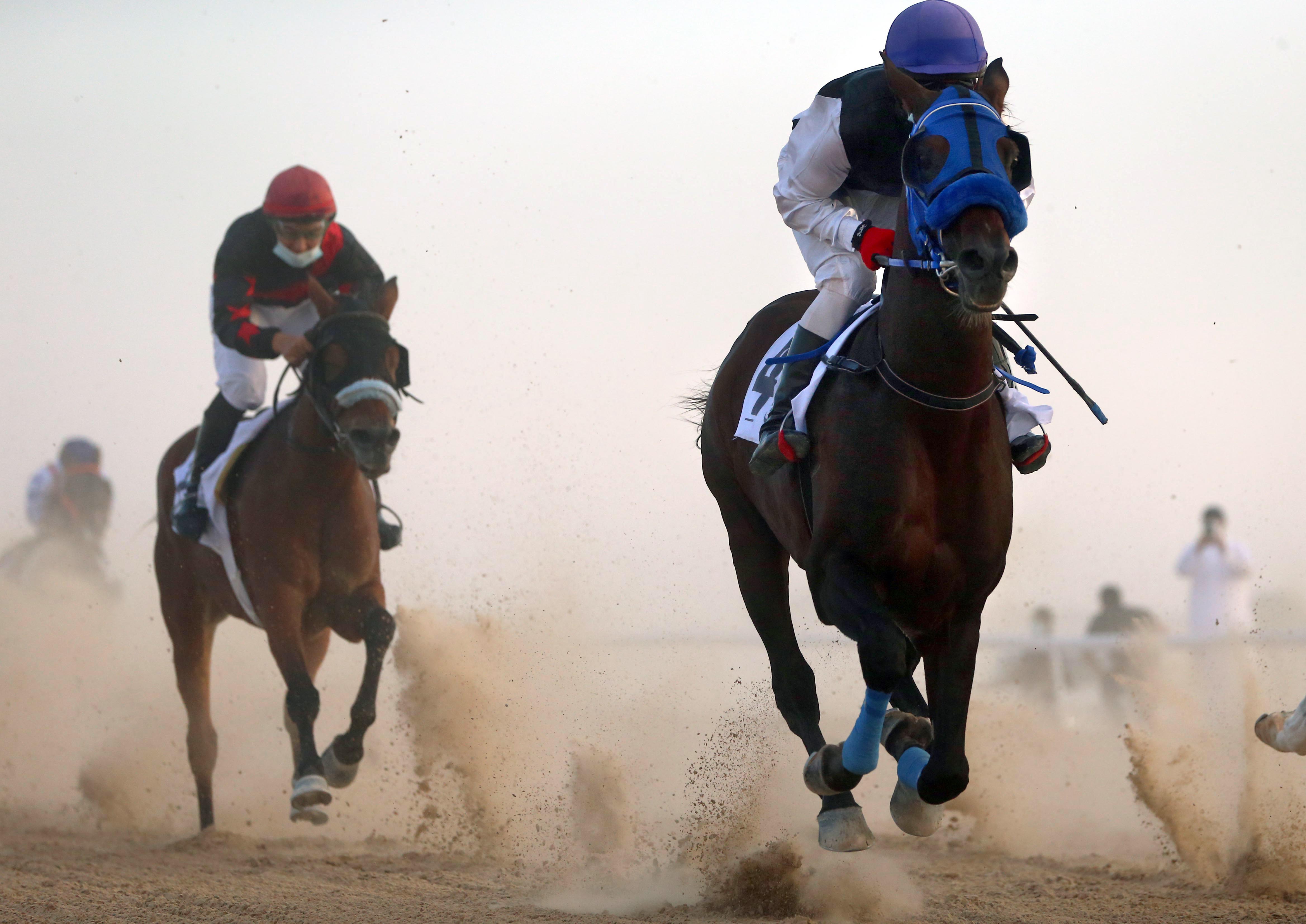 مهرجان الظفرة يستعرض مسابقاته التراثية للدورة 15 