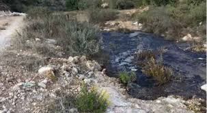 توافق بين الزراعة والادارة المحلية على فتح مكب الاكيدر لمعاصر الزيتون