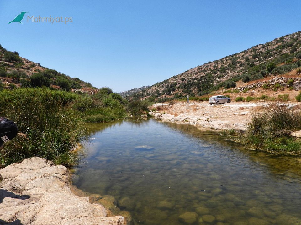  محميات فلسطين: الطبيعة مصدر الحياة والمحميات إحدى وسائل صيانة البيئة