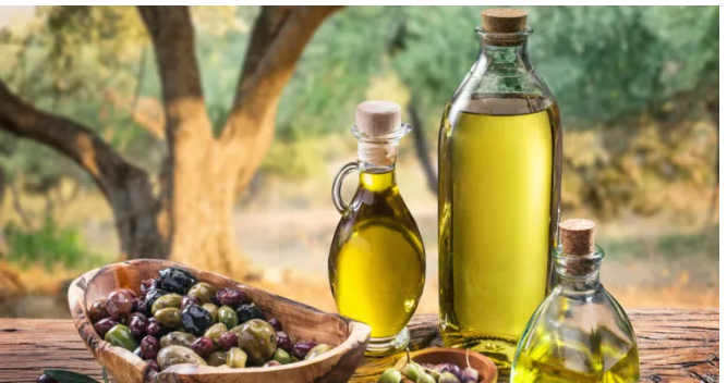 توقعات بانخفاض الكميات إنتاج الزيتون في الطفيلة