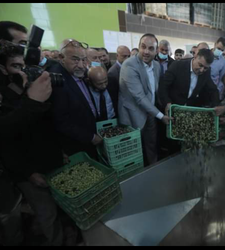 افتتاح موسم عصر الزيتون في الشمال