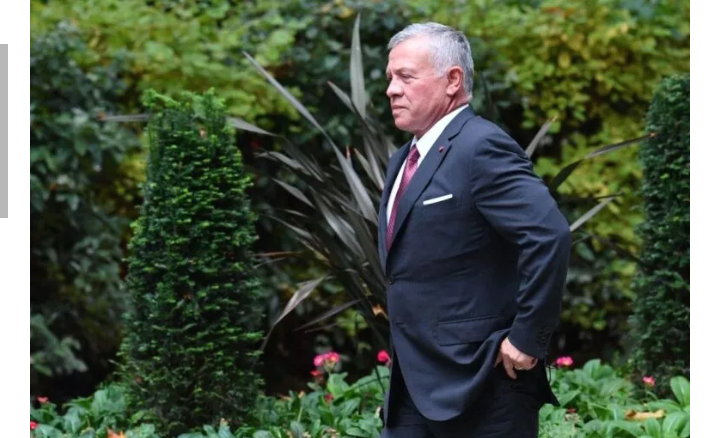 الملك يلتقي جونسون في لندن