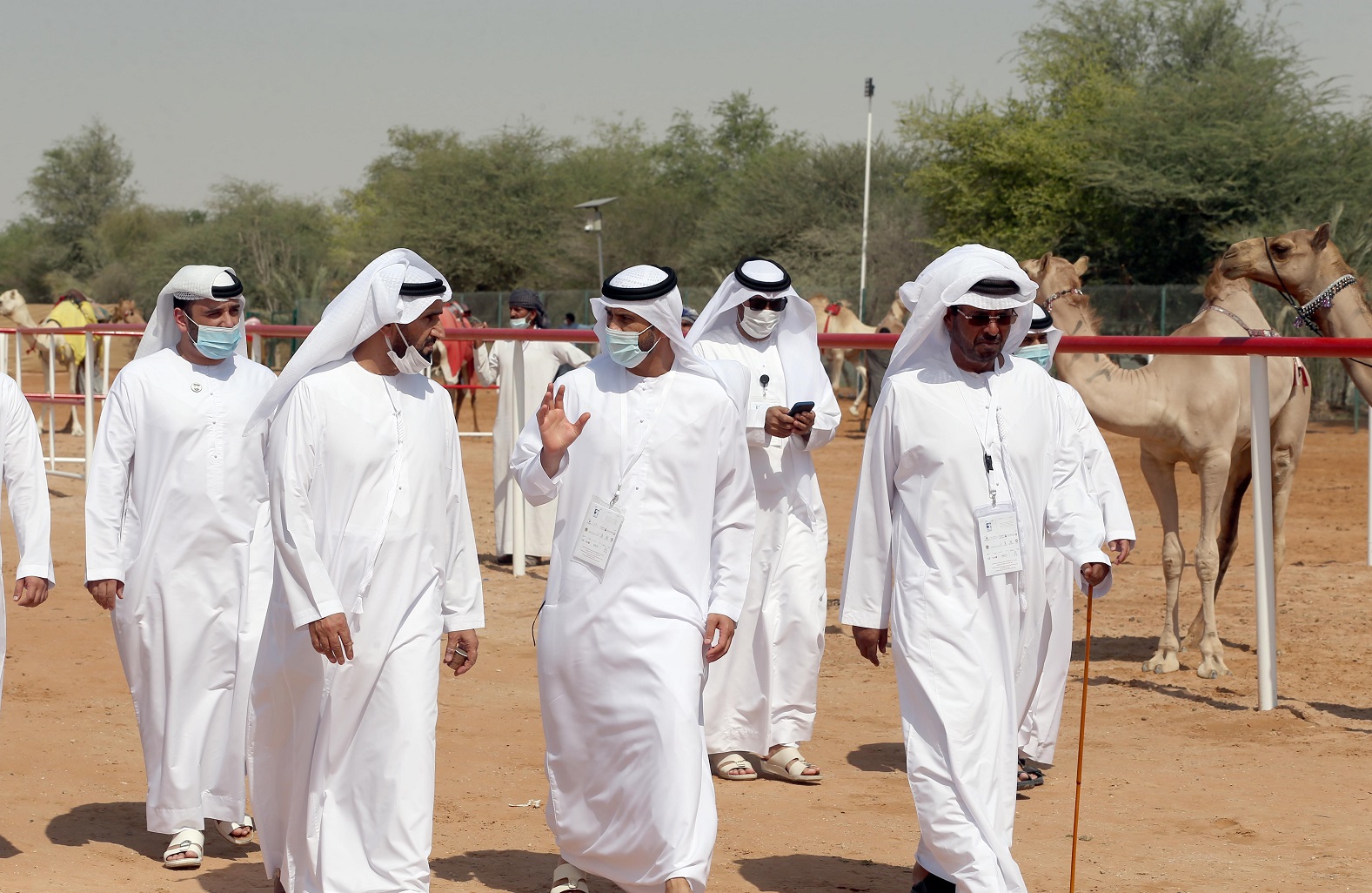 تتويج الفائزين في مزاينة سويحان بمهرجان الظفرة