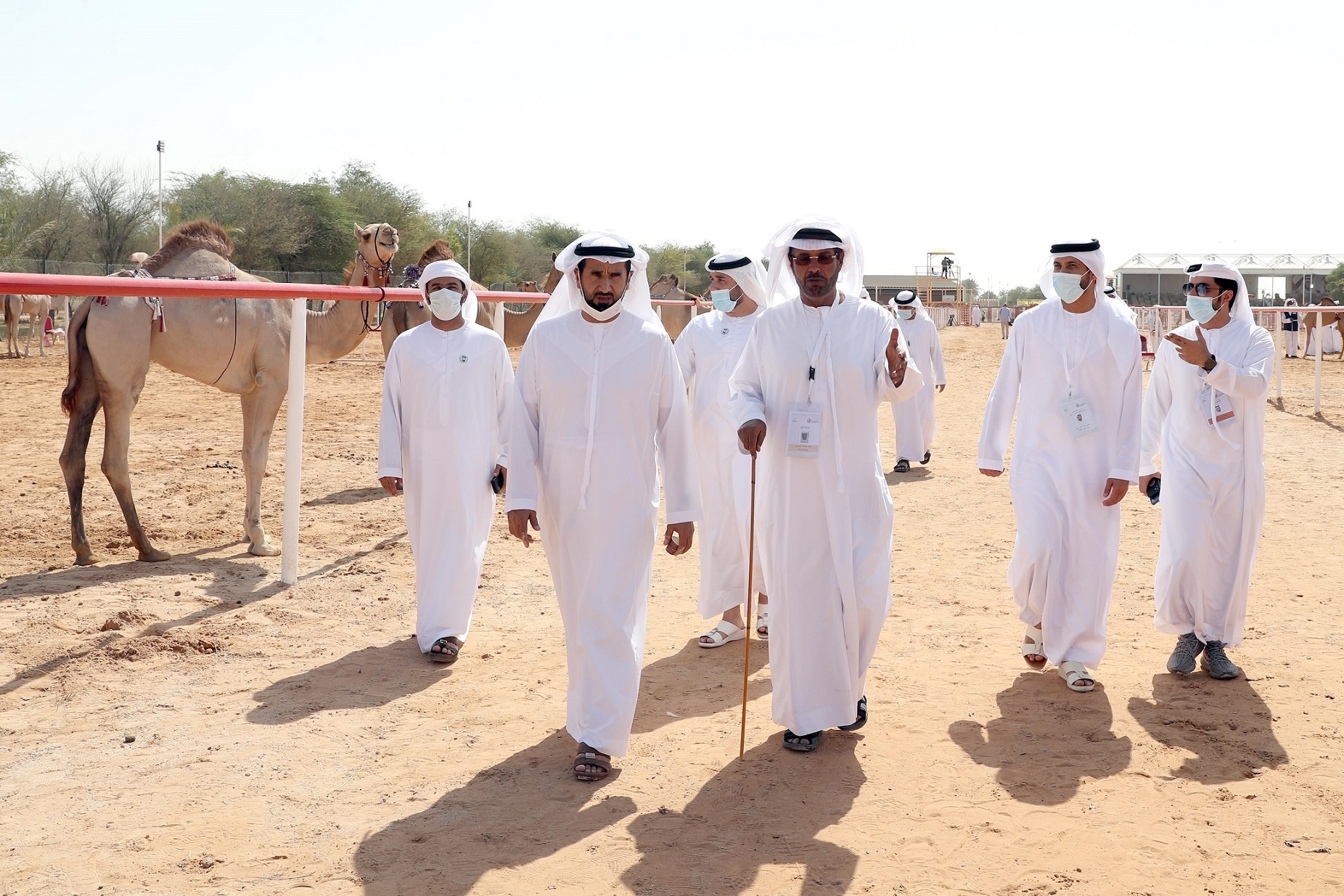 تتويج الفائزين في مزاينة سويحان بمهرجان الظفرة