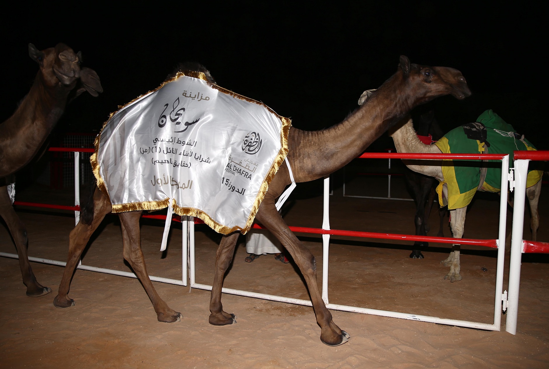 فارس المزروعي: إطلاق ميدان الشيخ سلطان بن زايد للتراث تخليد لمسيرة حافلة بالعطاء