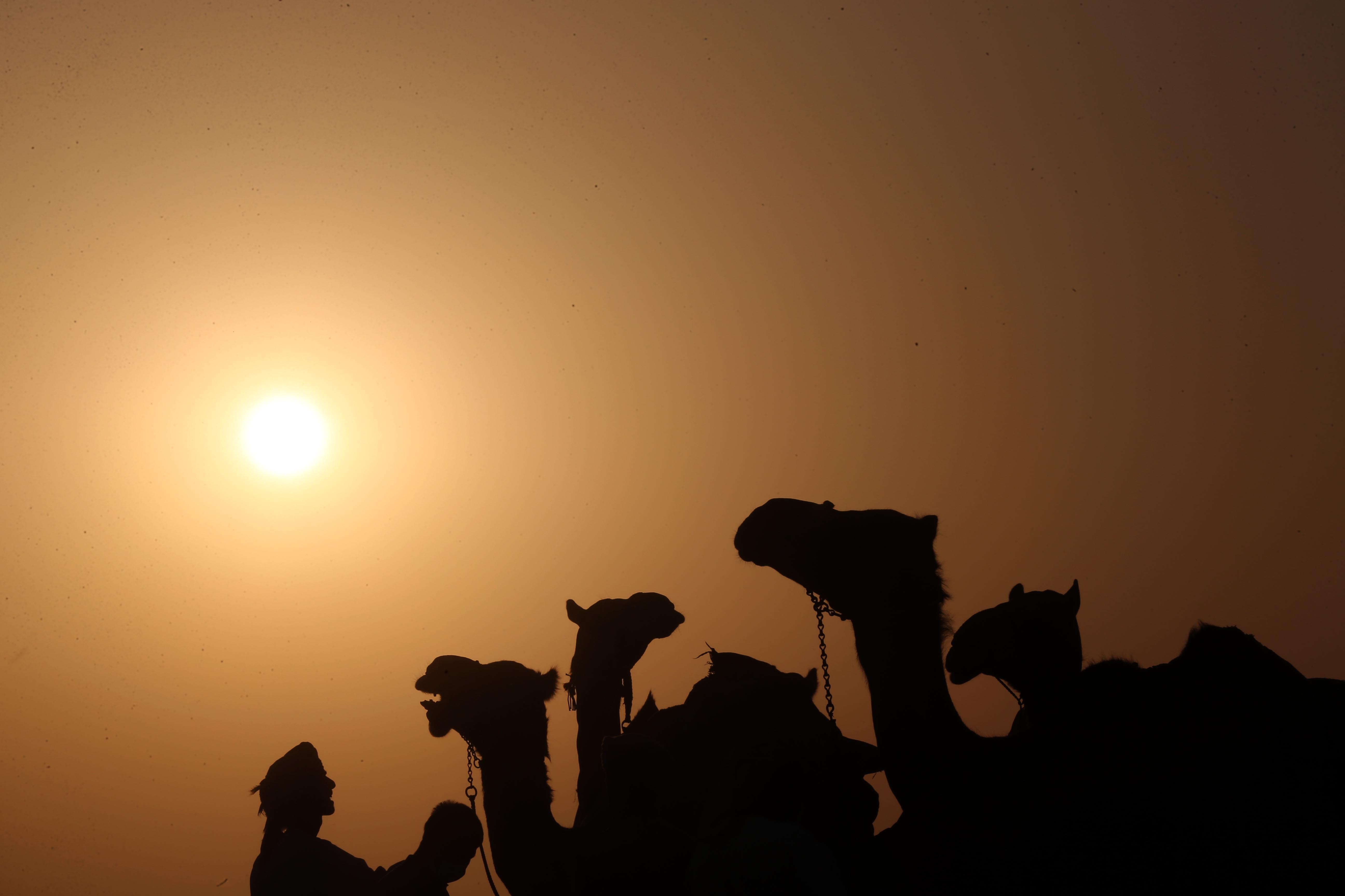 فارس المزروعي: إطلاق ميدان الشيخ سلطان بن زايد للتراث تخليد لمسيرة حافلة بالعطاء