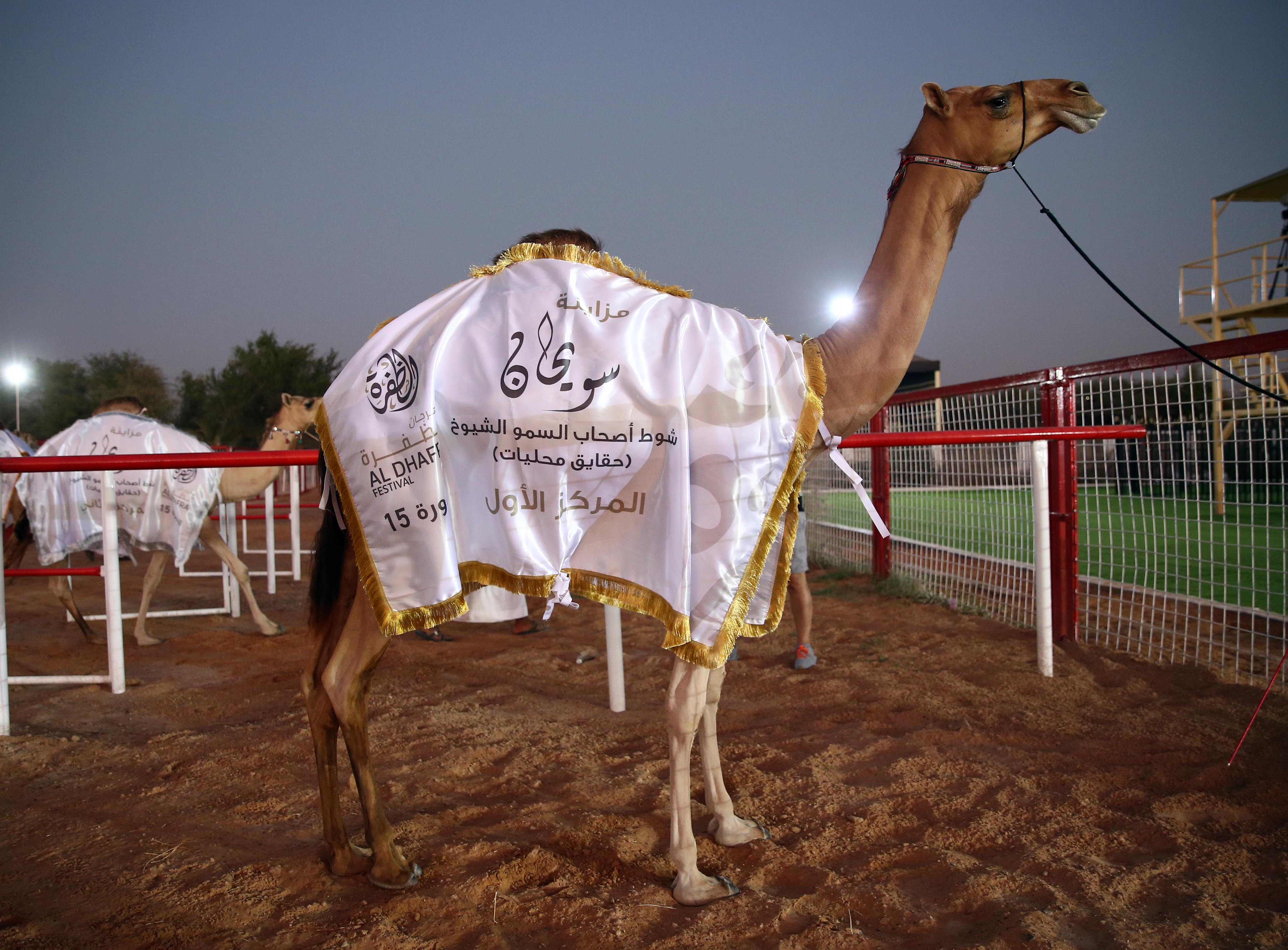 فارس المزروعي: إطلاق ميدان الشيخ سلطان بن زايد للتراث تخليد لمسيرة حافلة بالعطاء